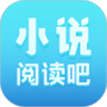 极光加速电脑版
