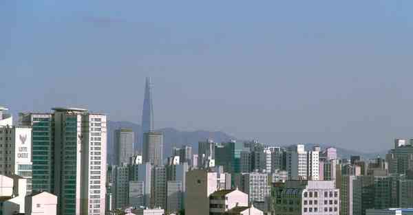 老王永久免费佛系加速器安卓